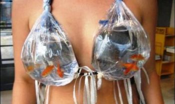 Natation & Cap