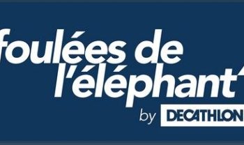 Les Foulées de l'éléphant 2023